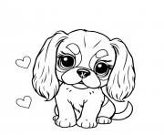 chien cavalier king charles mignon 2 dessin à colorier