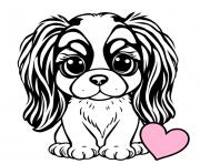 chien cavalier king charles mignon 3 dessin à colorier