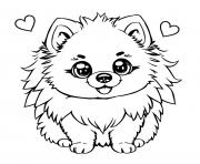 chien spitz nain mignon 2 dessin à colorier