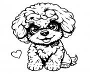 chien bichon frise mignon 6 dessin à colorier