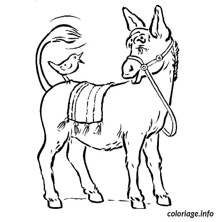 Coloriage Animaux âne - Animaux à imprimer