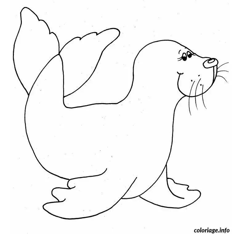 Baby Seal coloring page to print