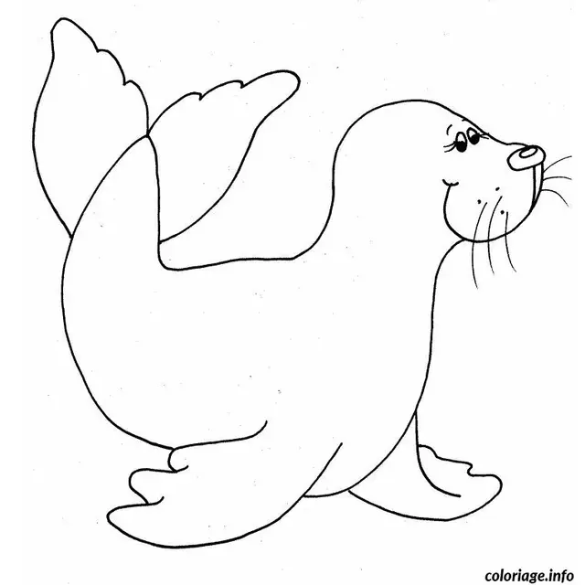 Coloriage Bébé phoque - Bébé à imprimer