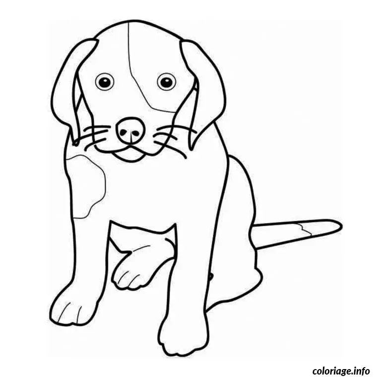Coloriage Animaux chien - Animaux à imprimer