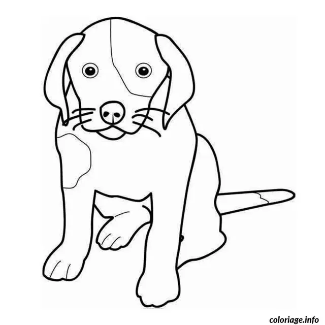 Coloriage Animaux chien - Chien à imprimer