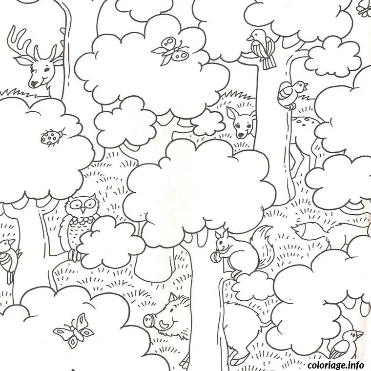 Coloriage Nature et animaux - Animaux à imprimer