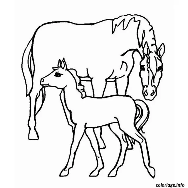 Coloriage Animaux chevaux - Cheval à imprimer
