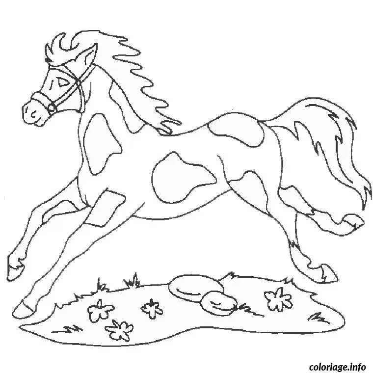 Coloriage Cheval et chien - Cheval à imprimer