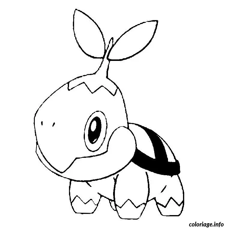 Coloriage Pokemon tortipouss - Pokémon à imprimer