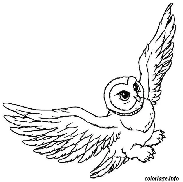 Kleurplaat Hedwig vliegt om te printen
