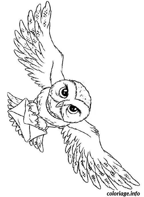 Kleurplaat Hedwig kleurplaten om te printen