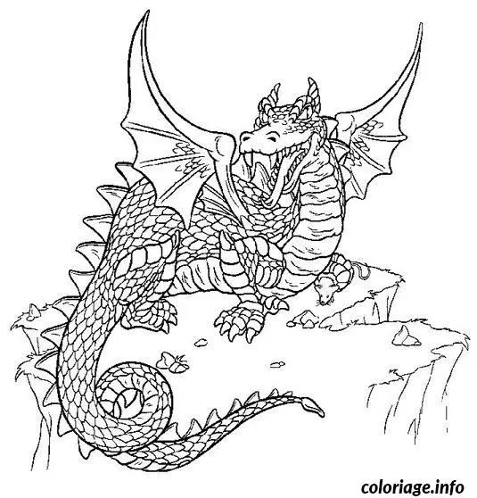Coloriage Dragon - Dragon à imprimer