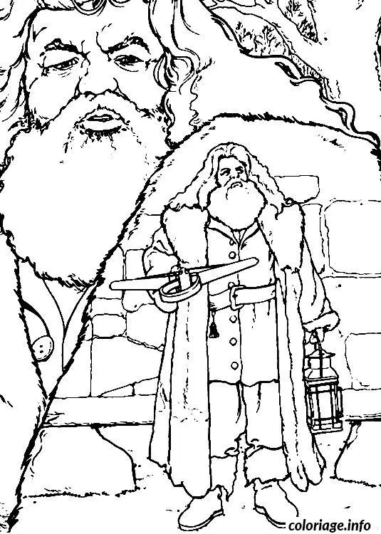Coloriage Rubeus hagrid - Harry potter à imprimer