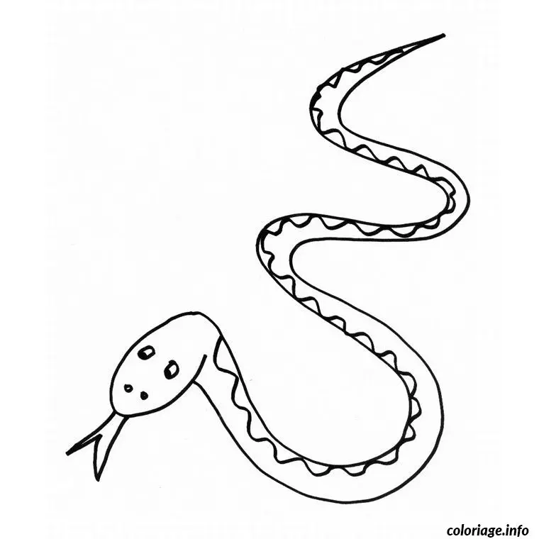 Coloriage Dragon vipere - Dragon à imprimer