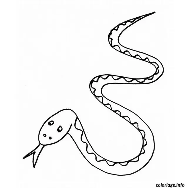 Coloriage Dragon vipere - Dragon à imprimer