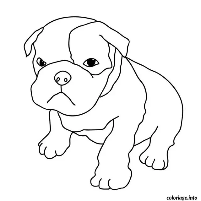 Coloriage Chiot boxer - Chiot à imprimer