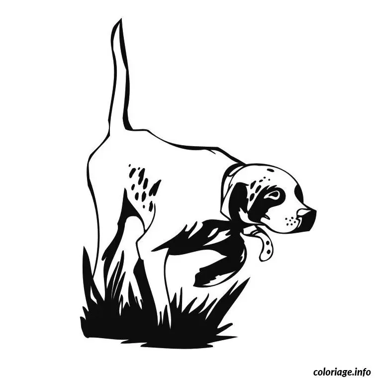 Coloriage Chien de chasse - Chien à imprimer