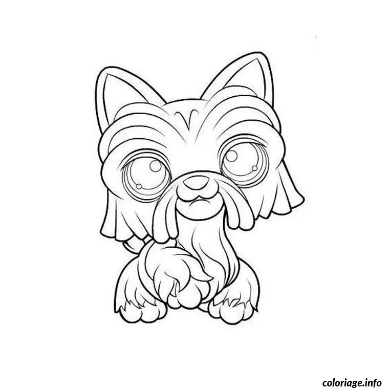 Coloriage Pet shop chien - Chien à imprimer