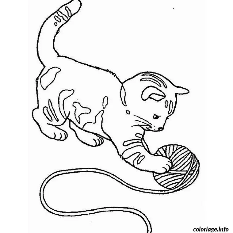 Coloriage Chat chaton - Chaton à imprimer