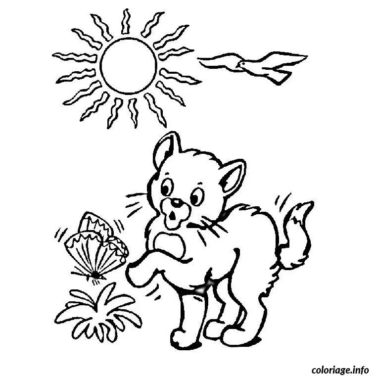 Coloriage Chaton - Chaton à imprimer