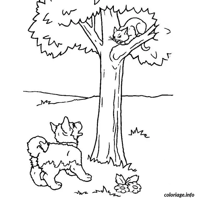 Disegno di Cucciolo e gattino da stampare