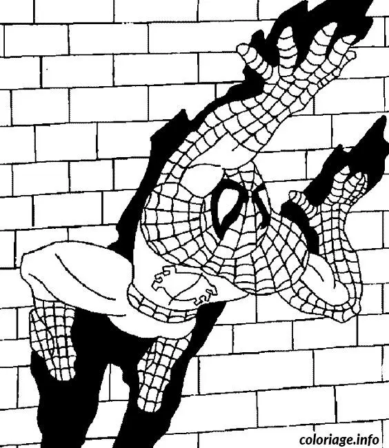 Coloriage Spider-Man prêt au combat - Spiderman à imprimer