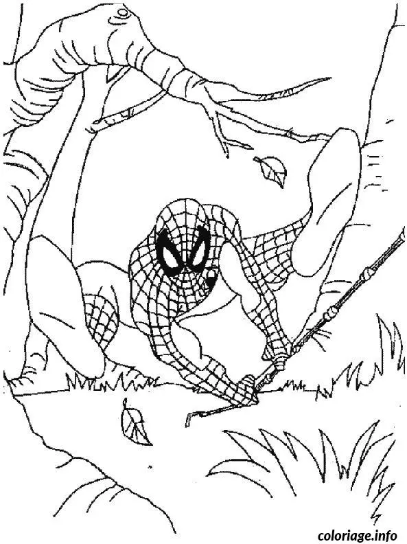 Coloriage Spider-Man dans sa tenue rouge et bleu - Spiderman à imprimer