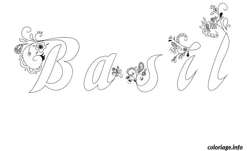 Basil coloring page to print