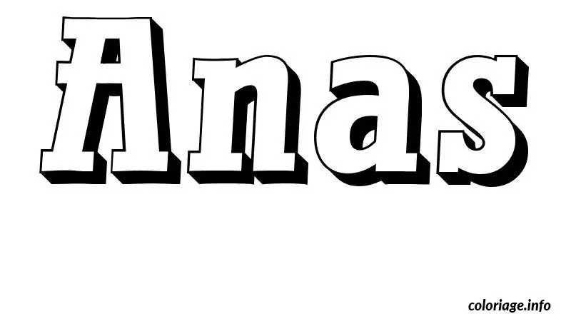 Anas coloring page to print