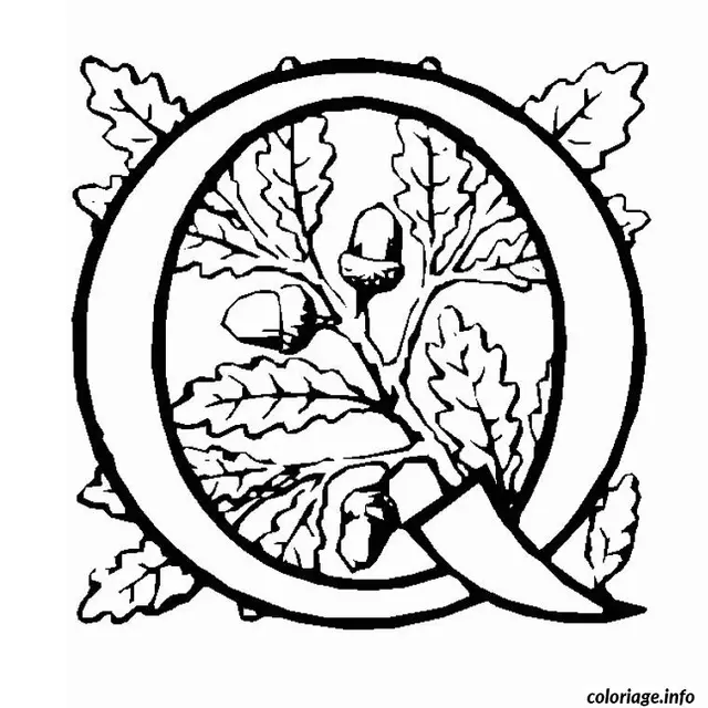 Coloriage Lettre q - Alphabet à imprimer