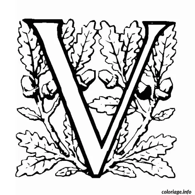 Coloriage Lettre v - Alphabet à imprimer