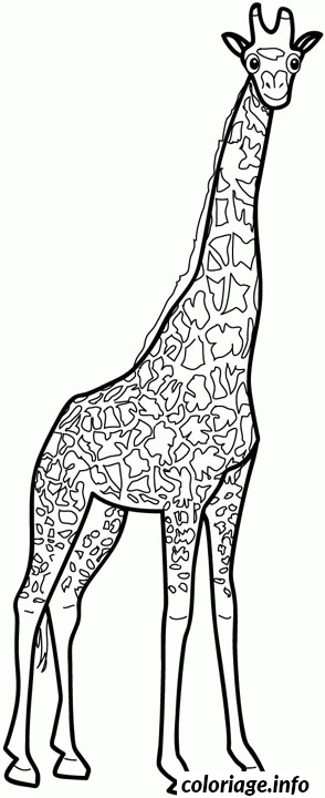 Coloriage Dessin animaux girafe - Animaux à imprimer