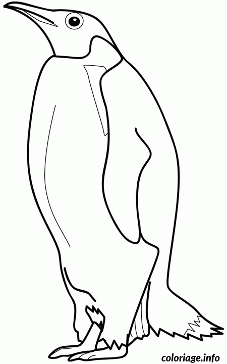 Disegno di Disegno di pinguino da colorare da stampare