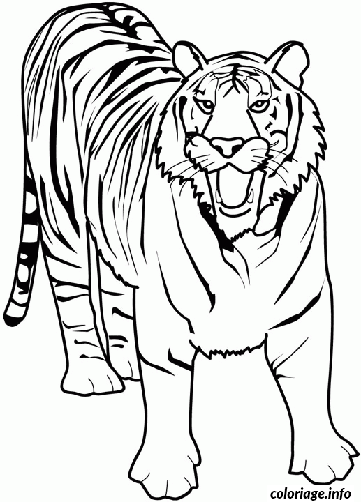 Coloriage Dessin animaux tigre - Animaux à imprimer