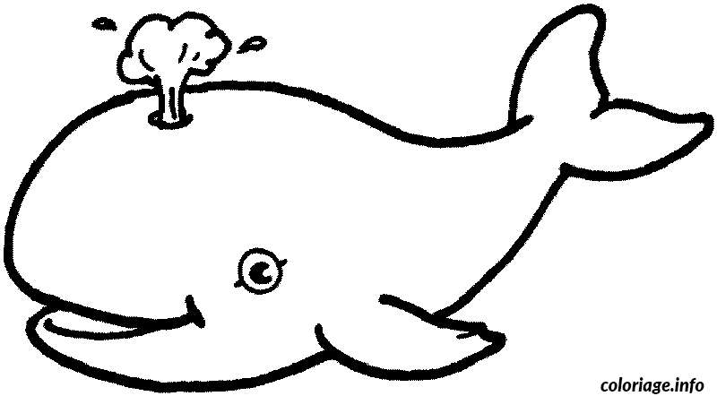 Dibujo de Dibujo de ballena para colorear para colorear