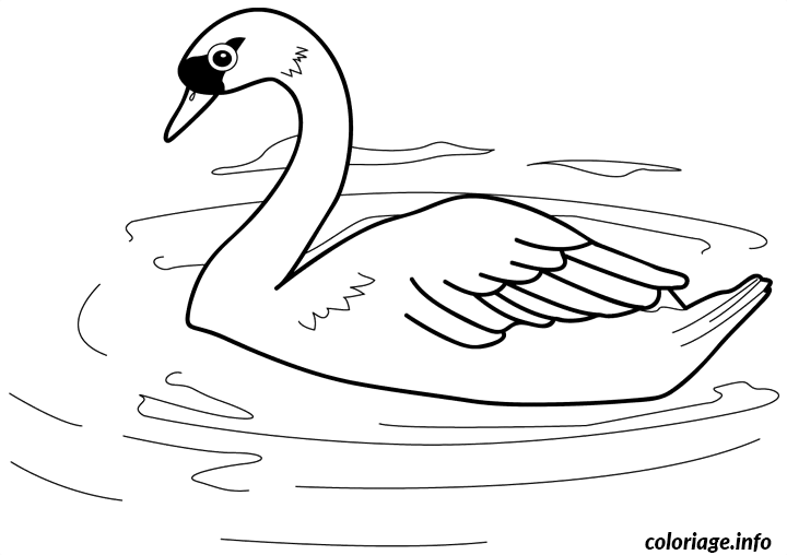 Coloriage Dessin animaux cigne - Animaux à imprimer