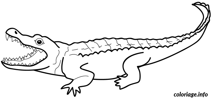 Crocodile Animal Drawing coloring page to print