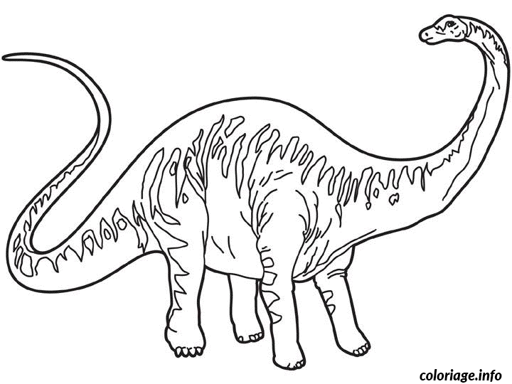 Diplodocus Dinosaur coloring page to print