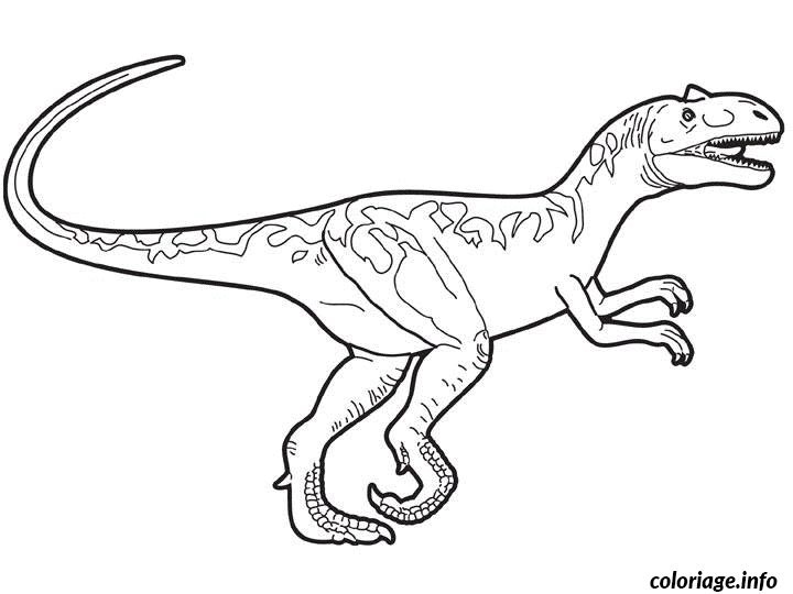 Coloriage Dessin dinosaure allosaurus - Dinosaure à imprimer