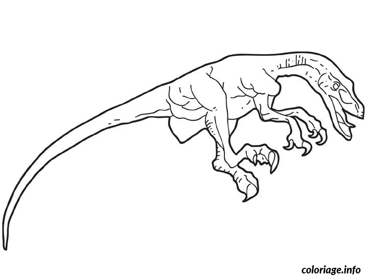 Coloriage Dessin dinosaure velociraptor - Dinosaure à imprimer