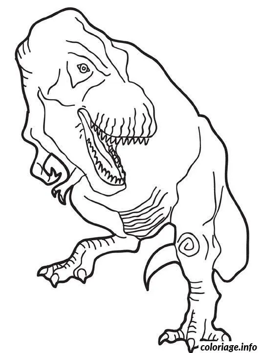 Coloriage Dinosaure rex - Dinosaure à imprimer