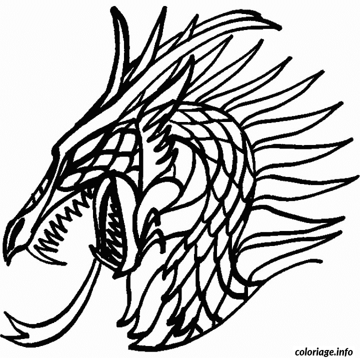 Coloriage Tête de dragon - Dragon à imprimer