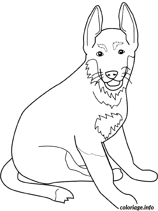 Coloriage Dessin chien berger allemand - Dessin à imprimer