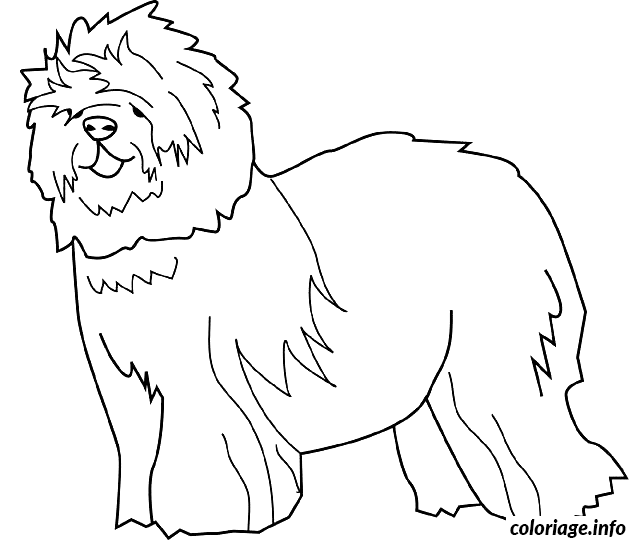 Coloriage Dessin chien berger - Dessin à imprimer