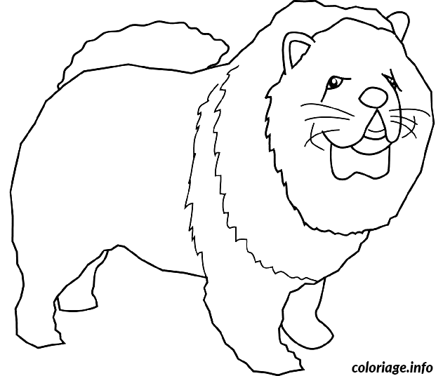 Coloriage Dessin chien chow chow - Dessin à imprimer