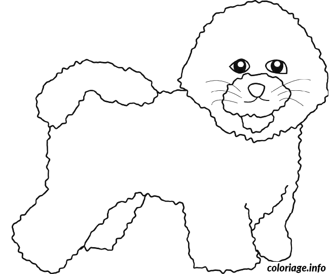 Coloriage Dessin chien bichon frise - Dessin à imprimer
