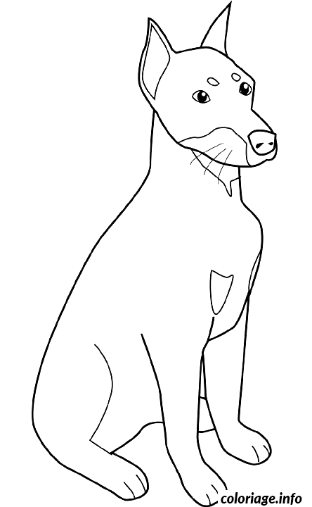 Coloriage Dessin chien doberman assis - Dessin à imprimer