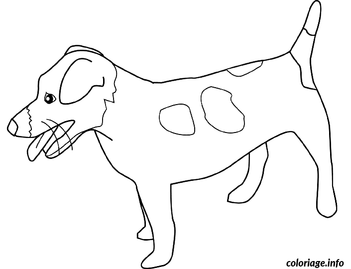 Coloriage Dessin chien jack russell terrier - Dessin à imprimer