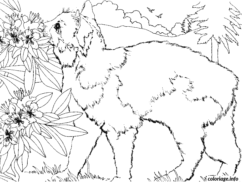 Coloriage Un chat renifle les fleurs - Fleurs à imprimer