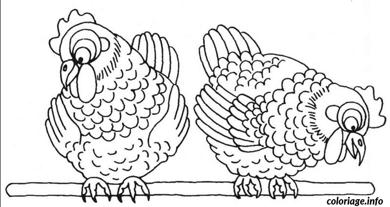 Coloriage Pâques deux poules - Pâques à imprimer